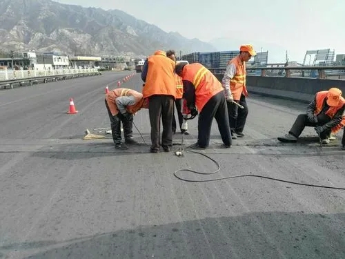 泗洪道路桥梁病害治理